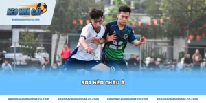 soi kèo châu Á