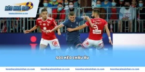soi kèo châu Âu