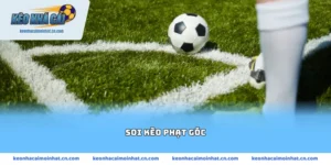 soi kèo phạt góc